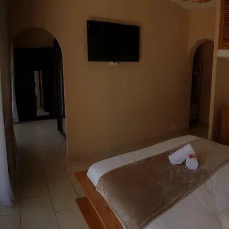 Torrella * アジャクシオ