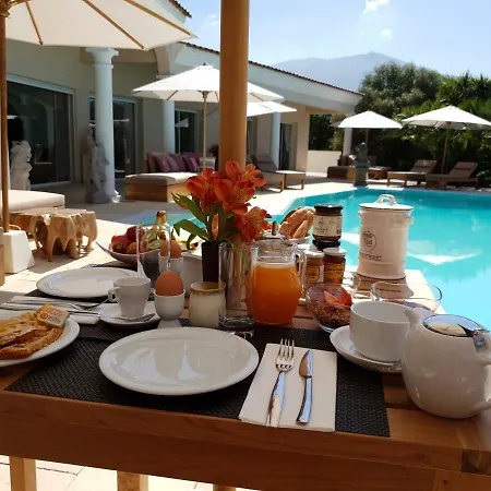 Torrella Villa Ajaccio (Corsica)